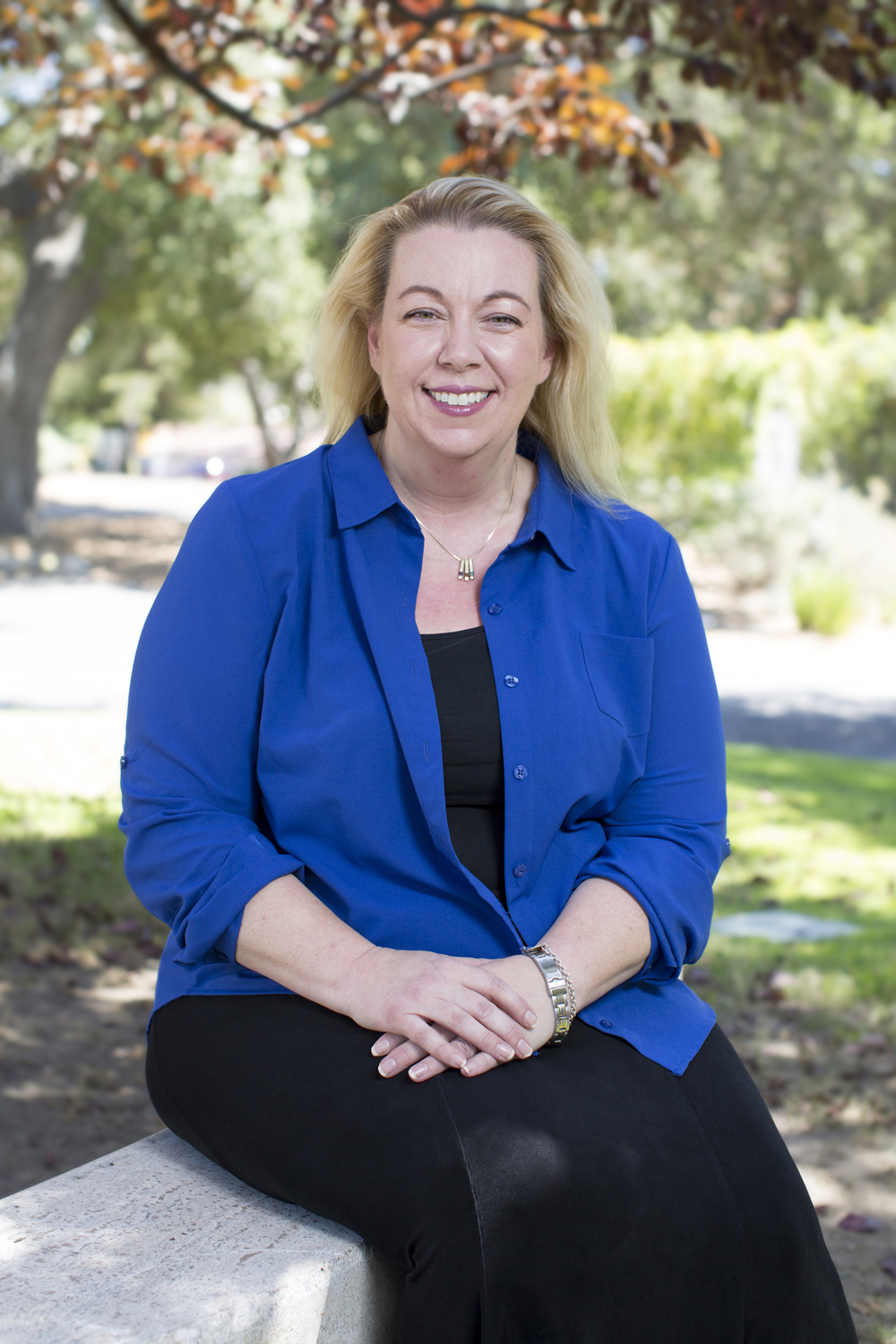 Harvey Mudd Department of Mathematics Chair Lisette de Pillis