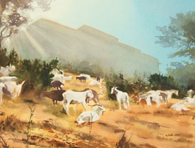 MSRI and Goats