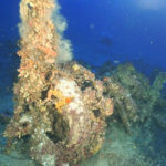 Remains of the World War II-era Fairey Swordfish discovered off the coast of Malta.