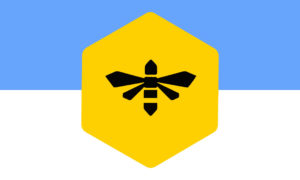 SLC flag design by Kennedy-Yoon
