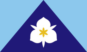 SLC flag design by Meinking