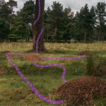 Image showing red wood ant nests (the mounds) with lines drawn in to represent pathways between the nests and to trees, where these ants harvest food from colonies of aphids living in the trees.
