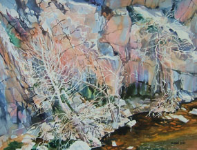 Image: Bare Trees Against Canyon