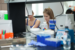 Student working in lab.