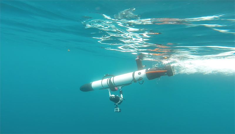 Harvey Mudd AUV