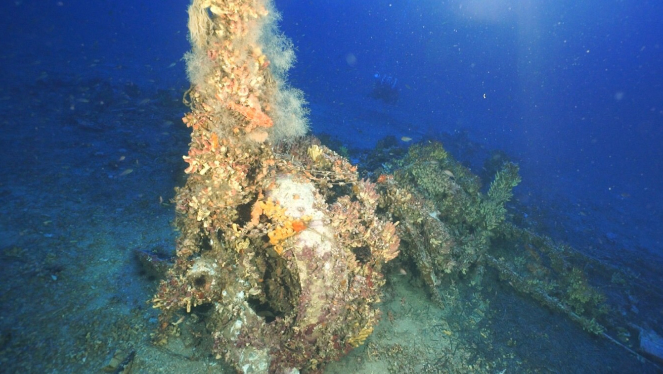 Remains of the World War II-era Fairey Swordfish discovered off the coast of Malta.