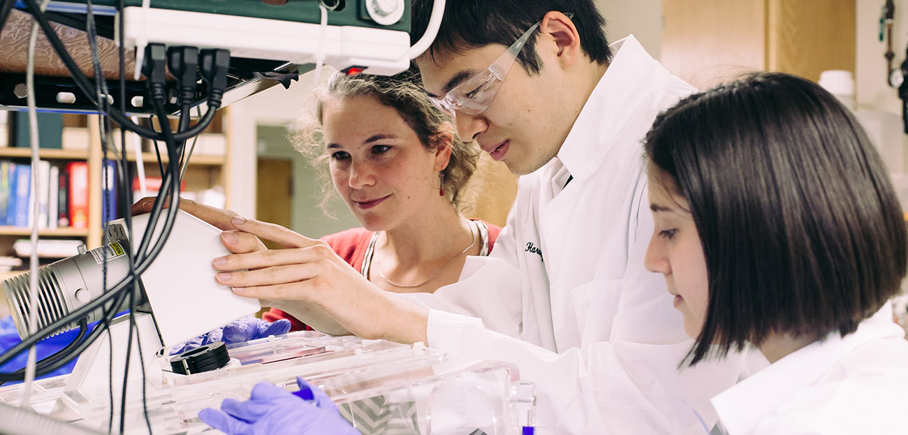 Students in Gerbode physics lab