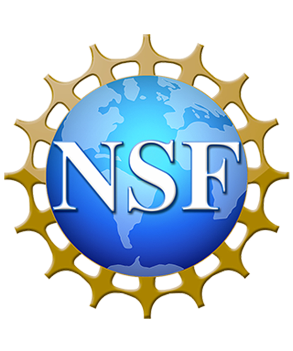 NSF logo