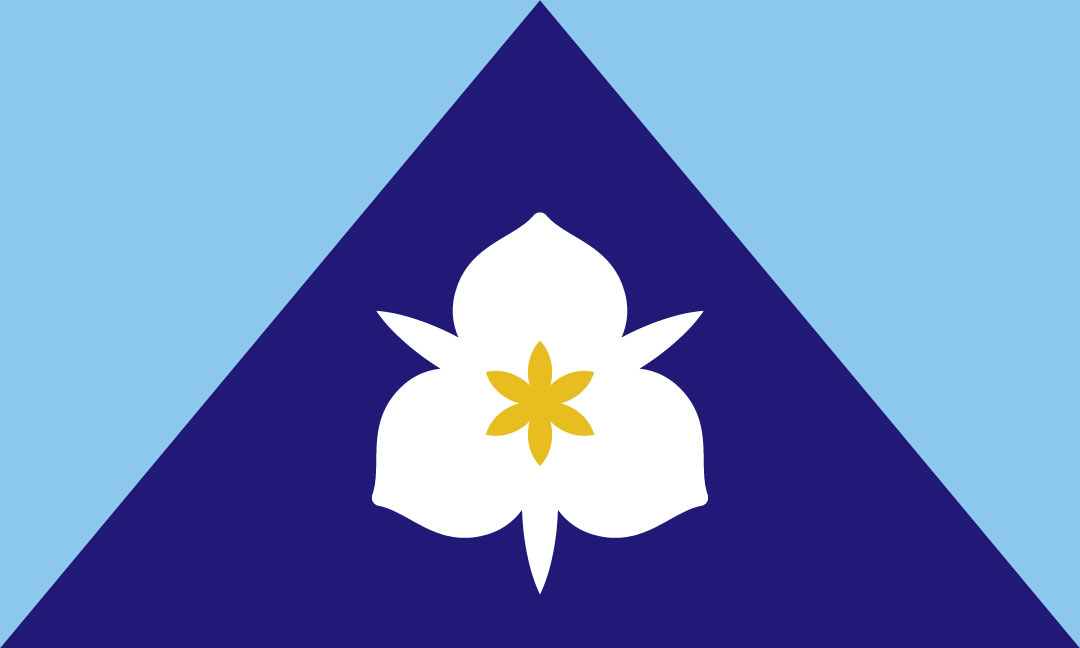 SLC flag design by Meinking