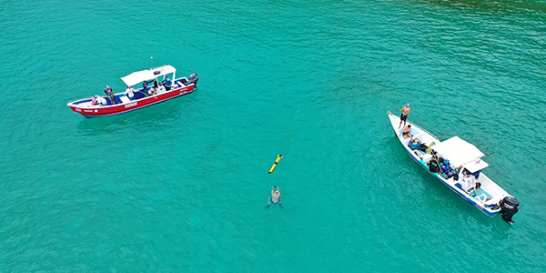aerial photo of boats in a harbor