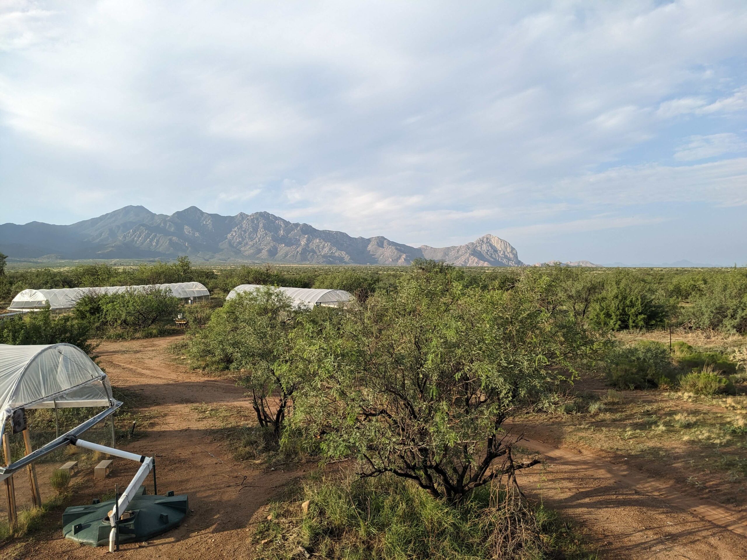 Image of field site for research referenced in article.