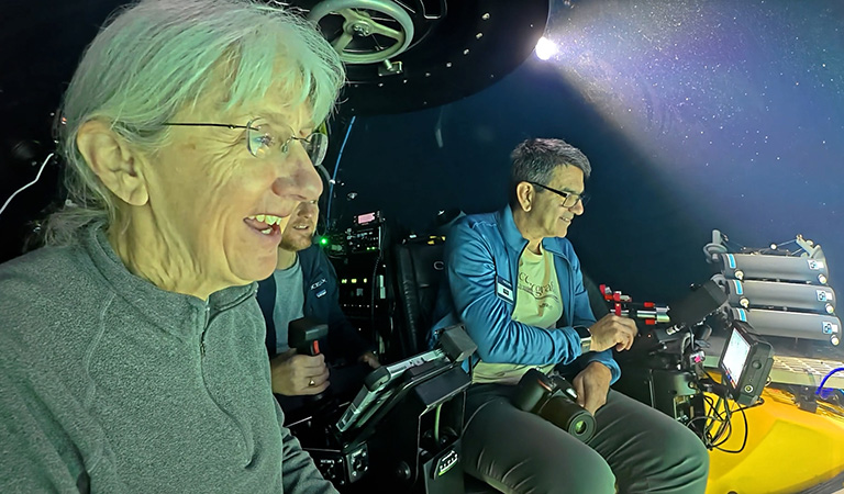 Cathy McFadden in submersible