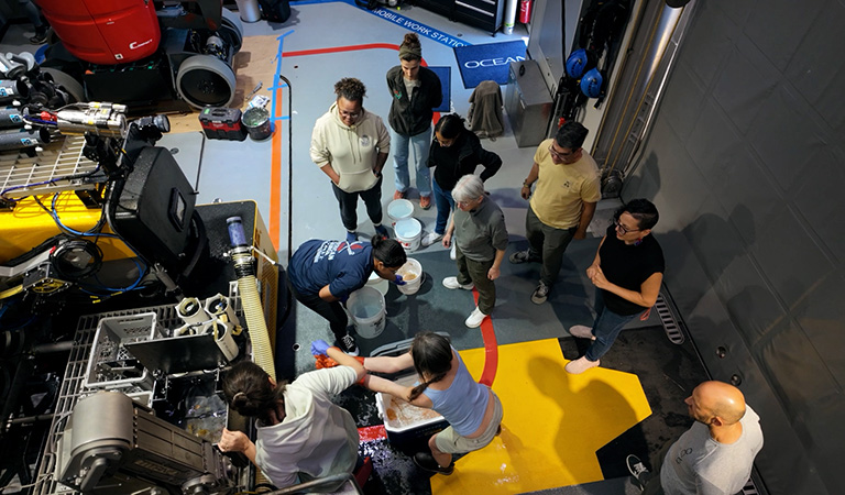 scientists remove specimens from rov