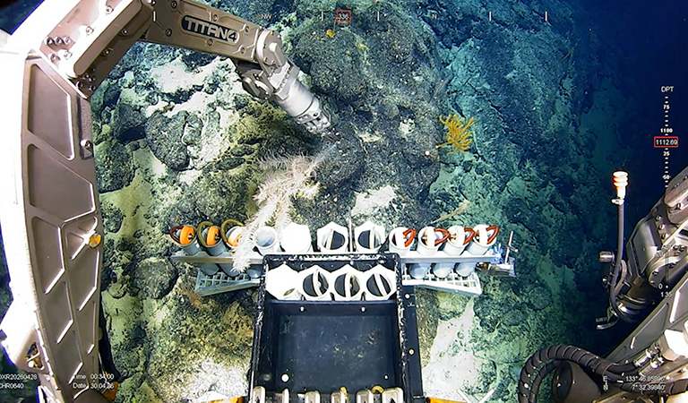 robotic arm