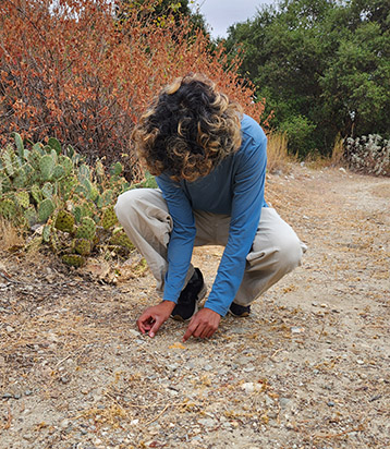student looking at ant hill