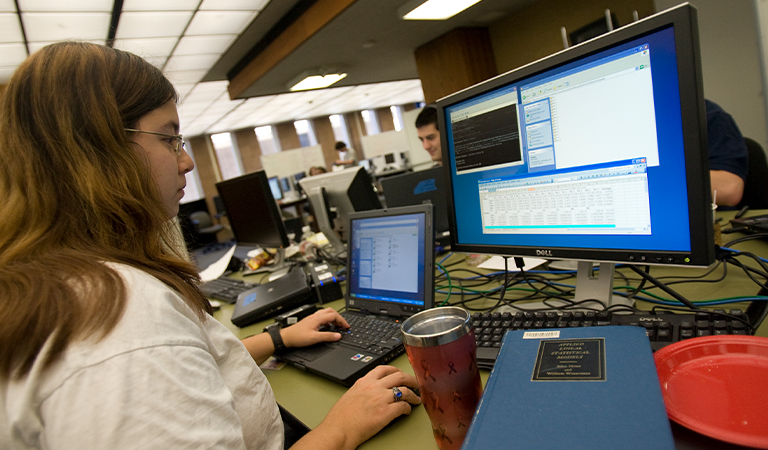 Student looks at charts on a computer screen in a computer lab.