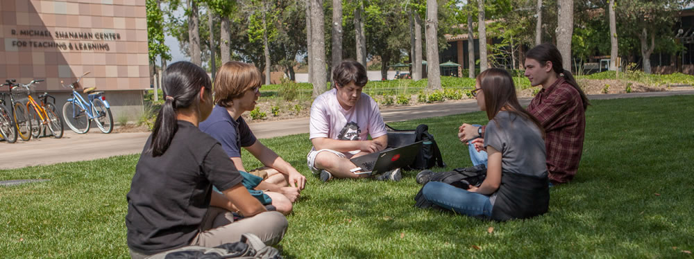 Students in discussion on grass