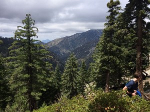 Trees and mountains and thunderclouds and Erik.