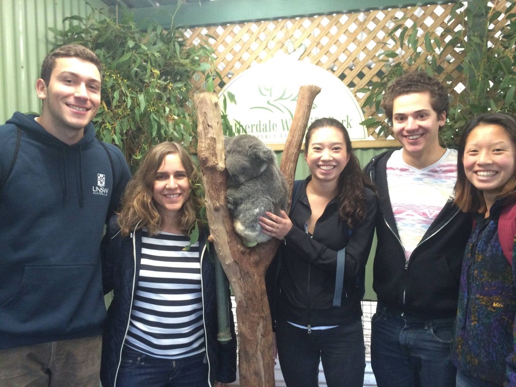 LaspaTeamKoala