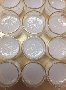platedCollagen
