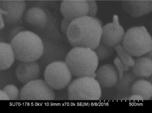 Zach Shattler '18 and Sakshi Shah '17 worked on producing chitosan nanoparticles, with apparatus made by Prof. Donnelly's lab in the Physics department. This picture is taken with the Scanning Electron Microscope (SEM) we share with Pomona