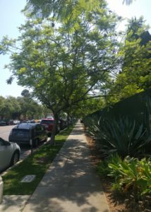 OUTSIDElACMA