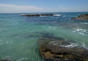 laguna