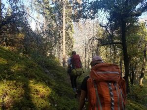 Two students are seen hiking up a trail cutting through a fern covered grove. Both are carrying orange backpacks. On either side of the grove are small tress providing some shade from the sun.
