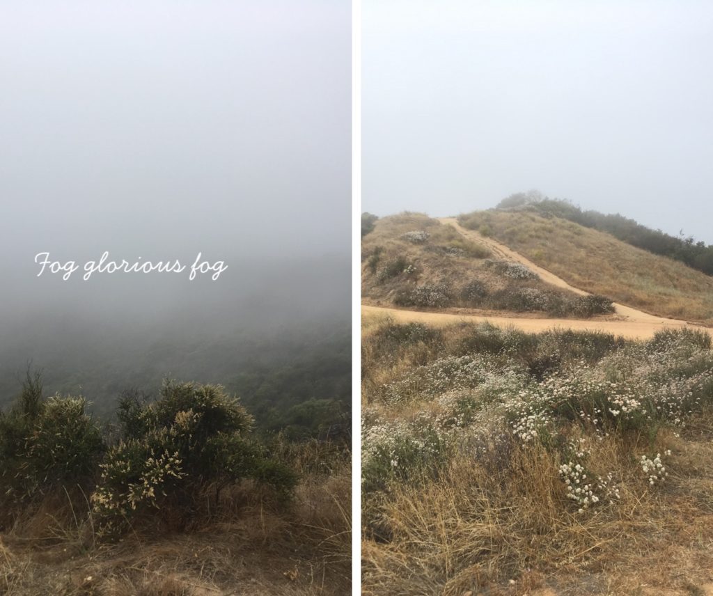LEFT: A hillside disappearing into thick fog. RIGHT: A hillside with wildflowers and two hiking paths and a foggy sky in the background.