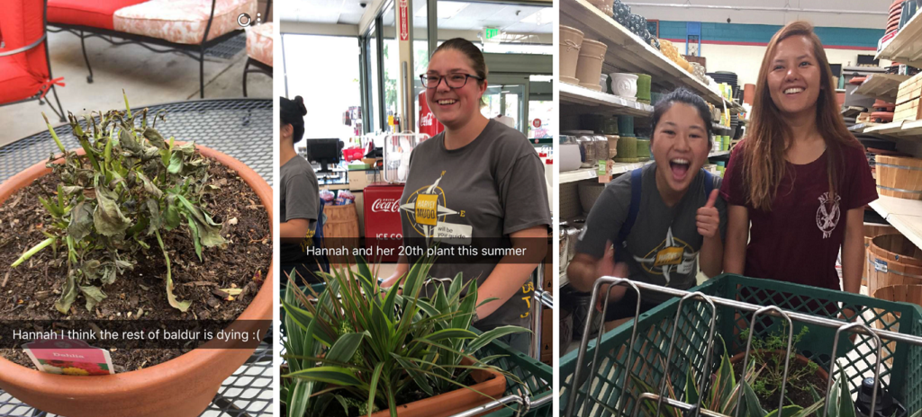 Left: A pot containing a shriveled plant sits on a table Middle: A smiling girl stands next to a shopping cart containing plants. The photo is captioned “Hannah and her 20th plant this summer” Right: One girl smiles and gives a thumbs up to the camera while another girl smiles but looks concernedly at a shopping cart with plants in it