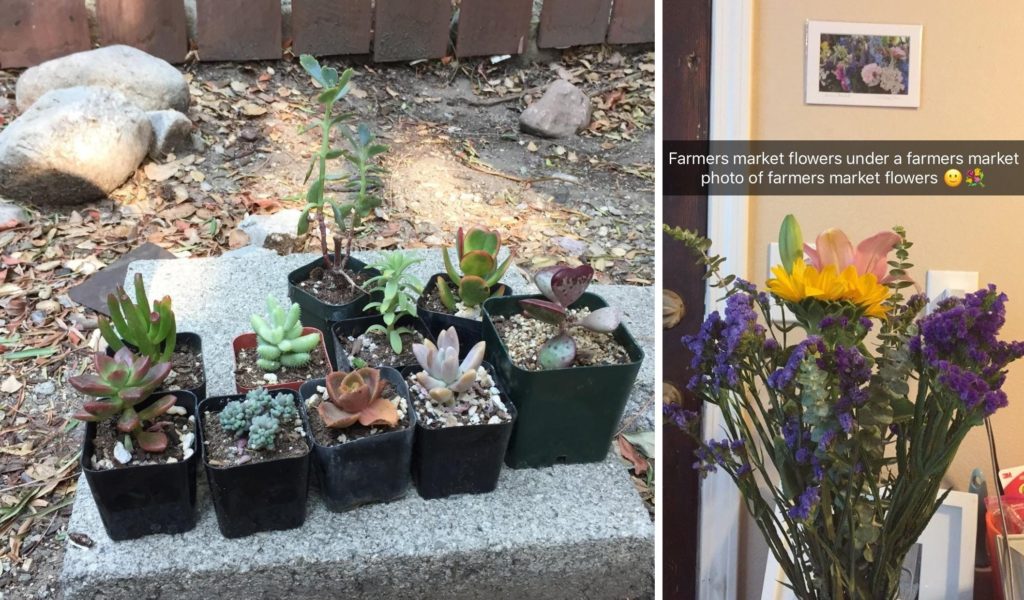 Left: 10 different succulents in small pots are arranged in two rows on a cement block Right: A bouquet of different types of flowers sits under a photo of flowers. The caption reads “Farmers market flowers under a farmers market photo of farmers market flowers”