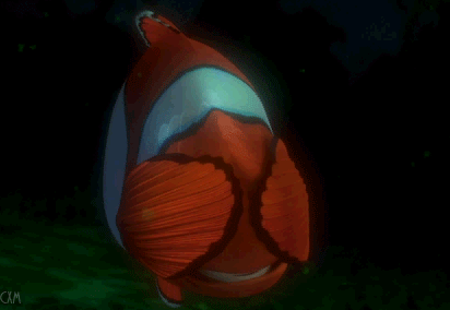 Marlin, the clown fish dad in Finding Nemo, looking scared.