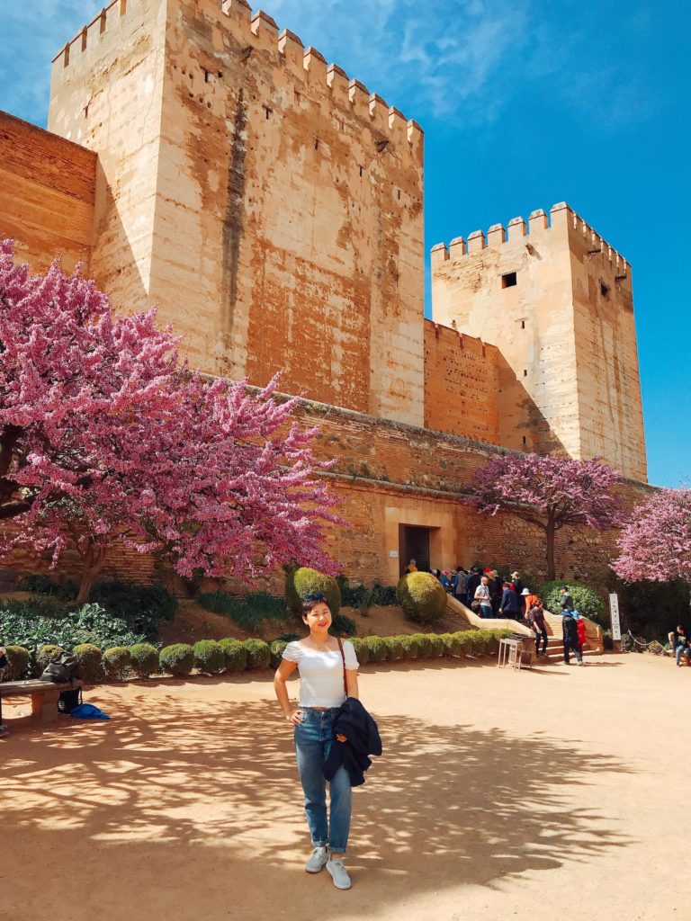 Jasmine in front of a medieval castle