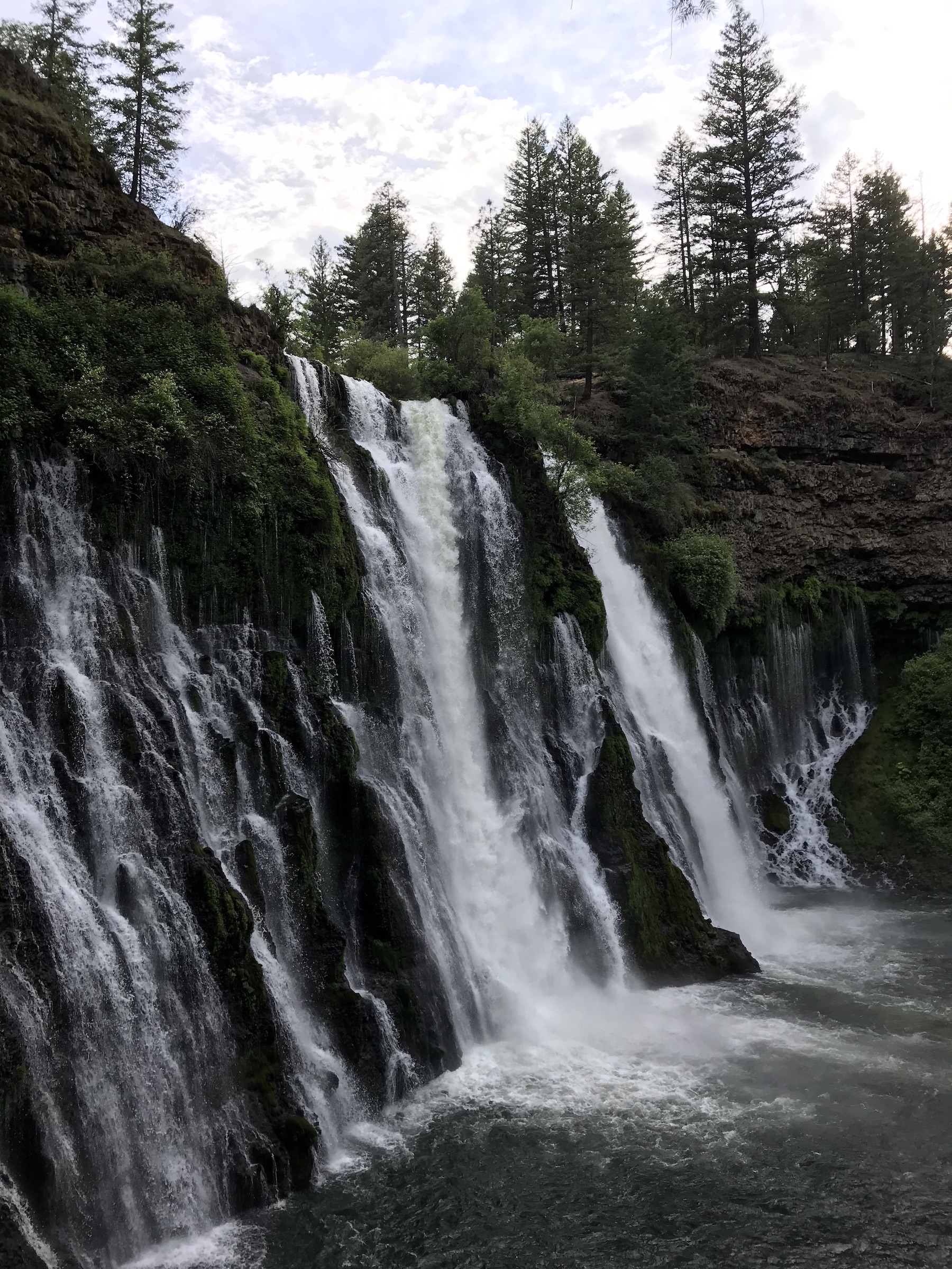 Several small waterfalls spill out of the side of a cliff. There are lots of evergreen trees surrounding the falls.