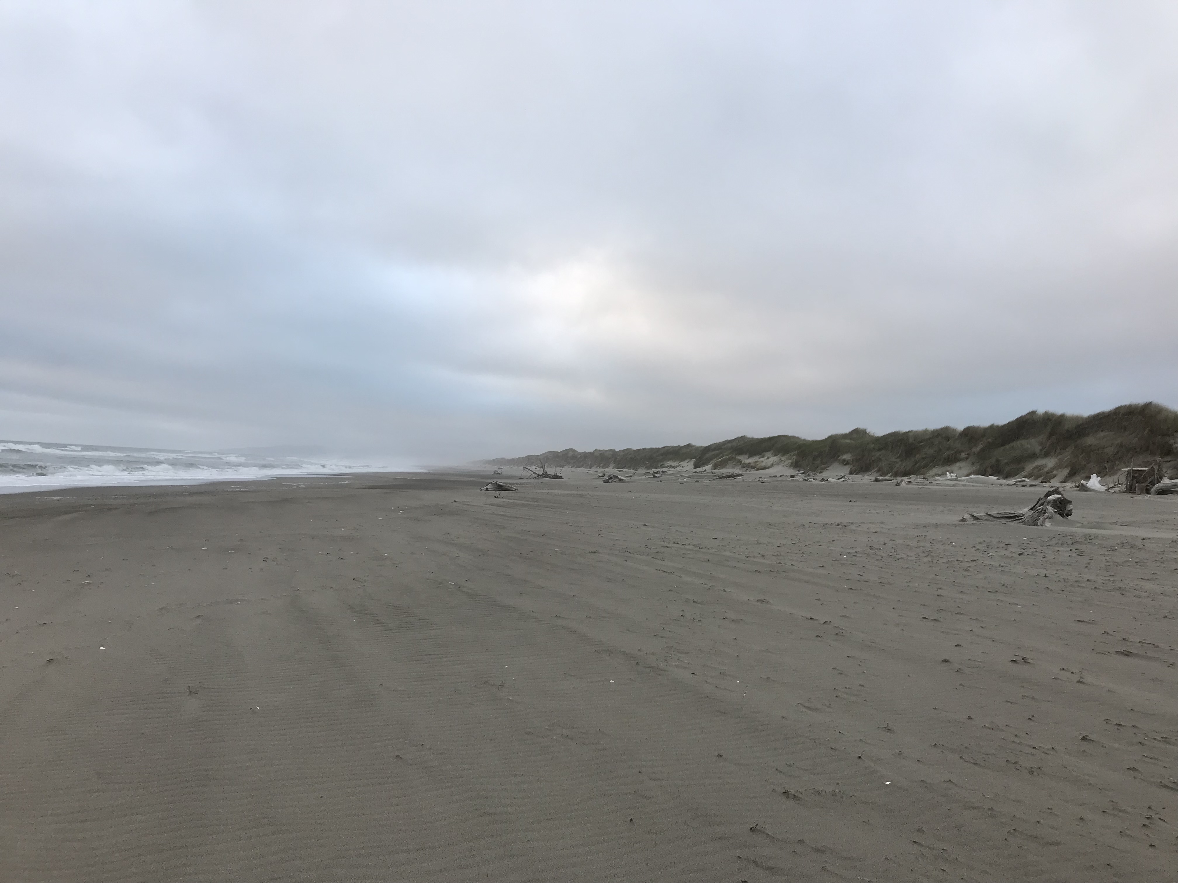 The empty coast in Oregon; the sky is gray and cloudy, and the beach is very clean and empty.