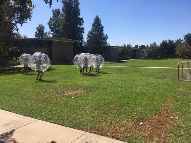 Several people wearing plastic bubbles over their shirt and heads playing soccer outside.