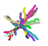 Many differently colored paths radiating from the center with no clear pattern.