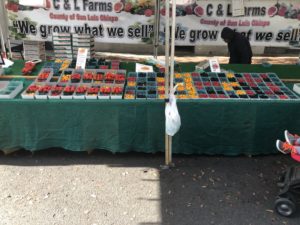 A table covered with cartons of fresh berries