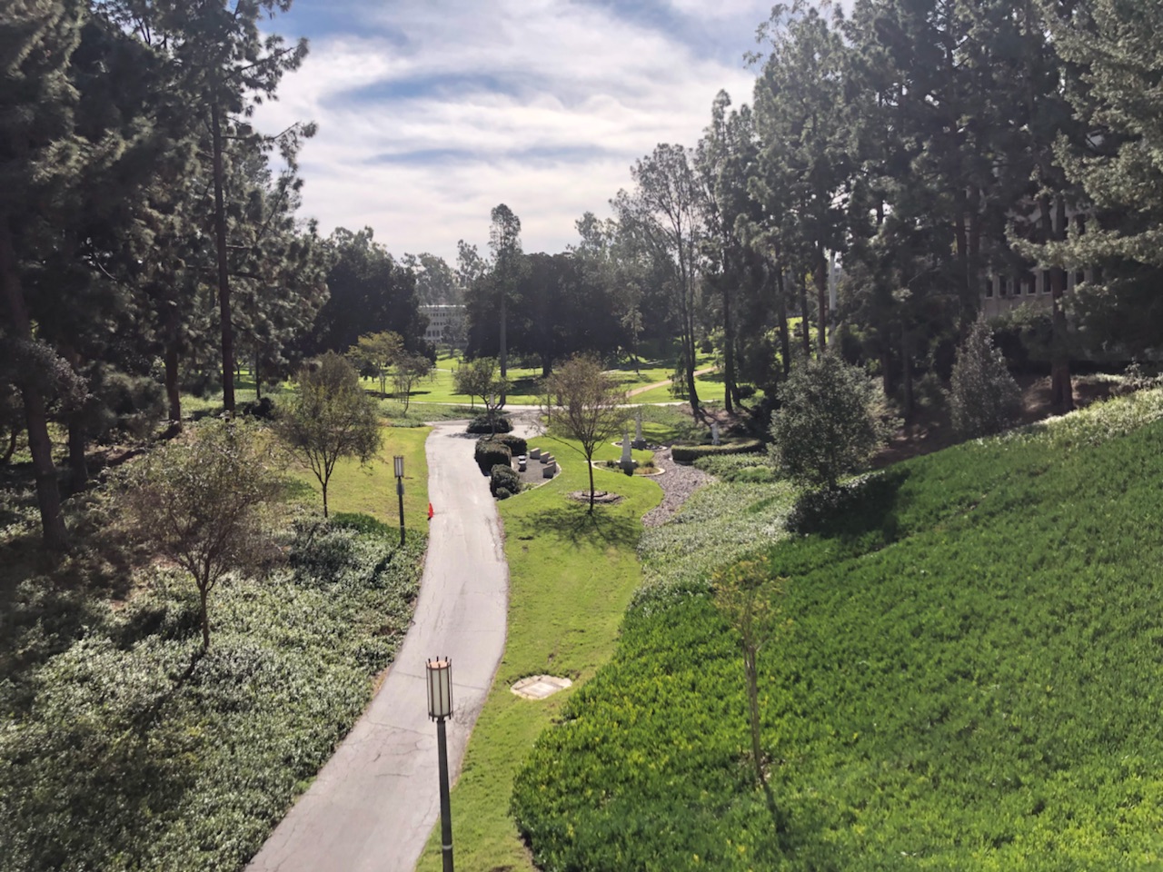 A path inbetween trees