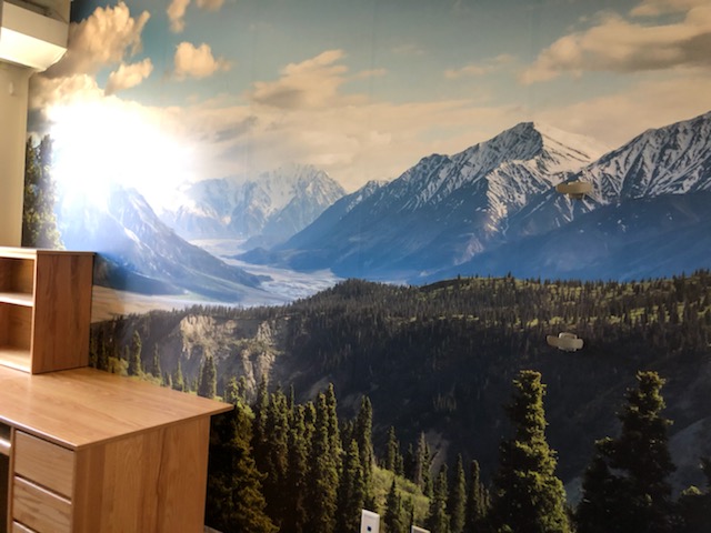 Mural of mountains overlooking a forest behind a desk