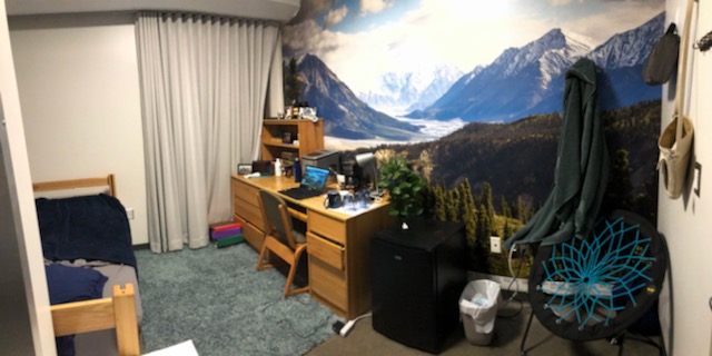 Dorm room with rug on the floor, notes unpacked on desk, trashcan, and refrigerator
