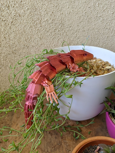 Lizard in potted plant