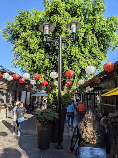 Trees in center of street with lanterns strung between buildings.