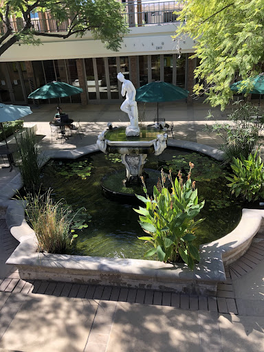 Fountain with plants and a white statue in the center