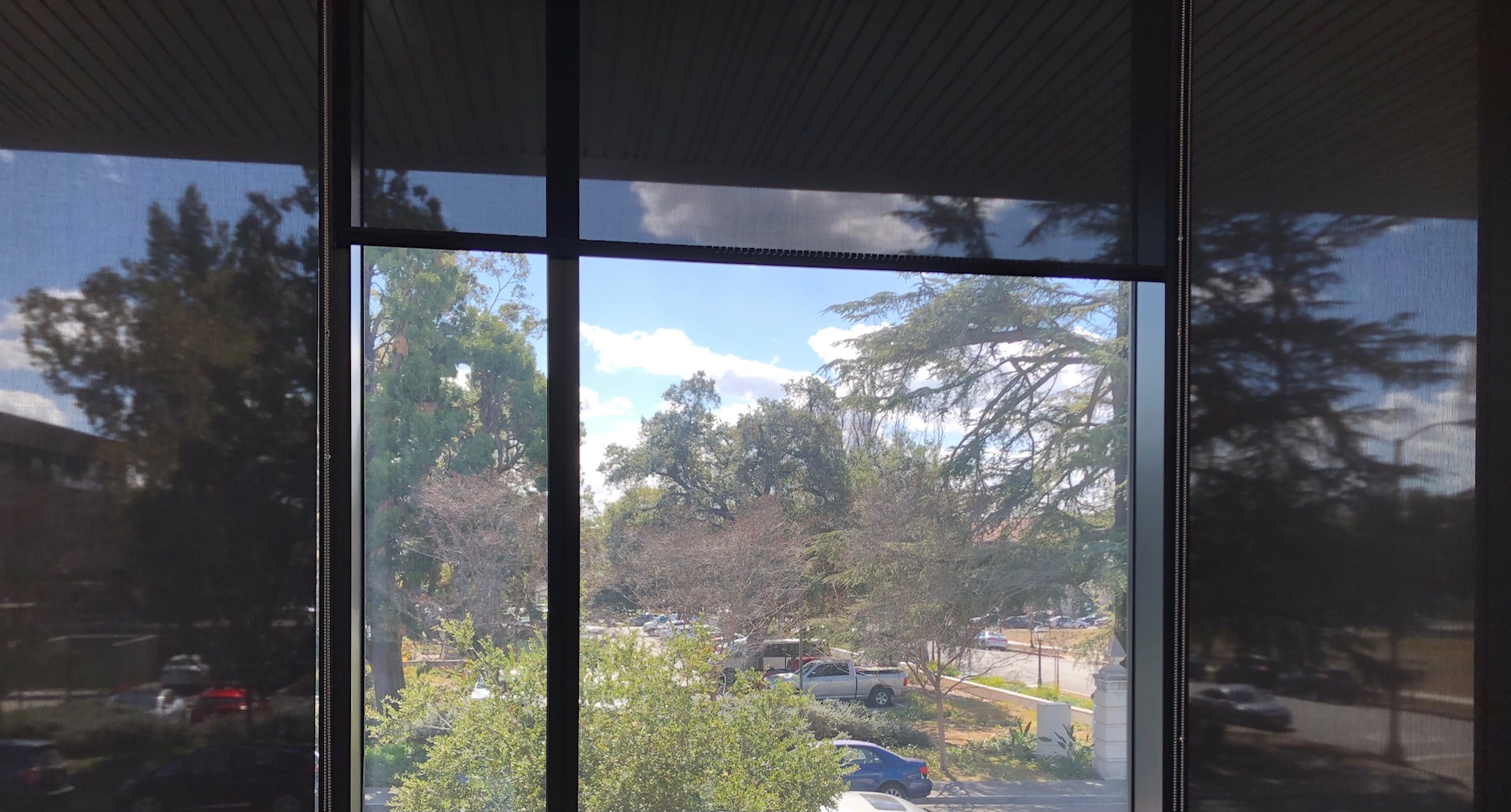 view from window to trees and parking lot
