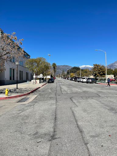 A road with a few trees, cars, and buildings on either side.