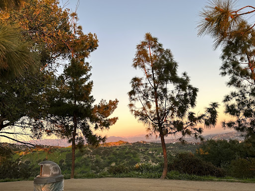 Trees and mountain view