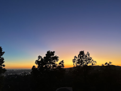 Sunset with trees sillouetted