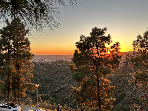 trees and view toward lowland cities