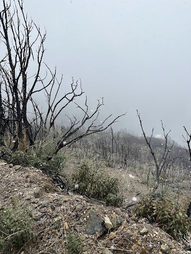 View of fog off the side of a path